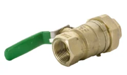 Wilkins - 1-850UXL - 1-inch BV FNPT Union X FNPT - LF