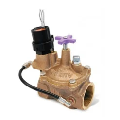 Rain Bird - 200EFBCP - Rainbird 2" Efb-Cp Brass Valve